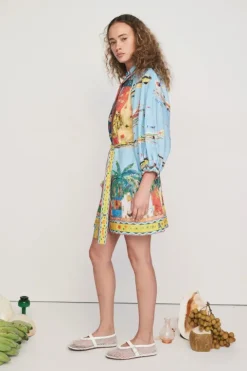 All Aboard Mini Dress