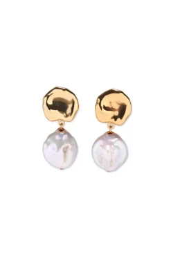 Coin Reflection Earrings