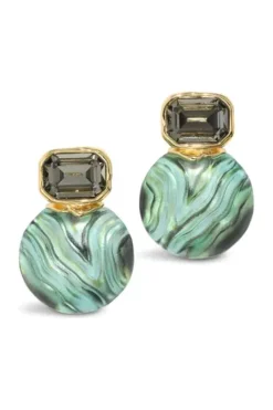 Madera Lucite Disc Earring