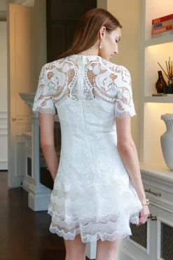 Paislee Guipure Lace Mini Dress
