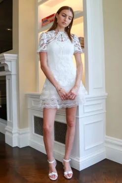 Paislee Guipure Lace Mini Dress