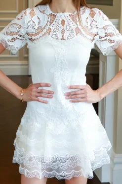 Paislee Guipure Lace Mini Dress
