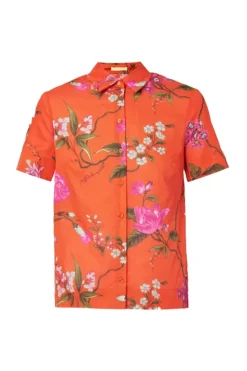 Short Sleeve Cropped Shirt