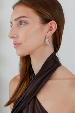Solanales Crystal Hoop