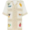 Teddy Shirt