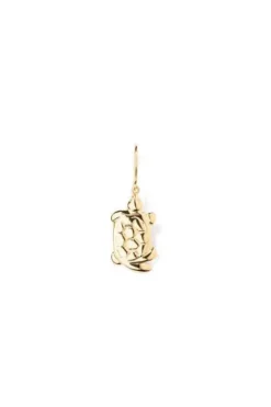 Turtle Charm Earring