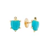 Turtle Earrings
