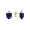 Turtle Earrings