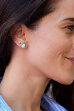 Turtle Earrings
